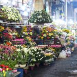 mexico city market tour