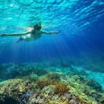 Cozumel Snorkeling Tour (Coral Reef)