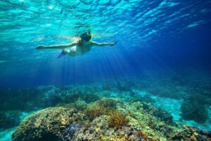 Snorkel Tour Cozumel (Coral Reef)