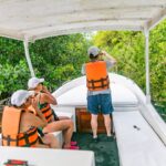 mangroves mexico