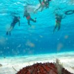 Puerto Morelos Snorkel Tour (Submarine Life)
