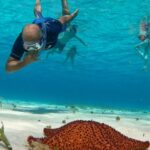 Diving in Crystal Waters