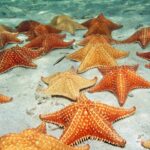 isla mujeres underwater museum