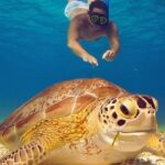 cozumel mexico trip