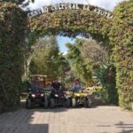 ATV