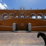 Horses