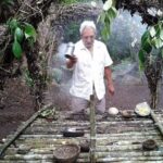 Mayan Jungle Tour