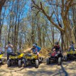 Riding Through Forest