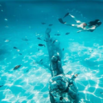 Underwater world