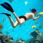 Reef