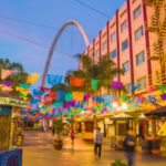 Tijuana Brewery Tour (City)
