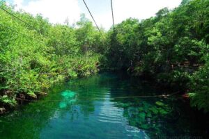 Tulum Cenote Tour