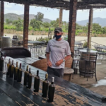 Bottles of Wine