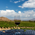 Wine Tour Baja California (wine glass)