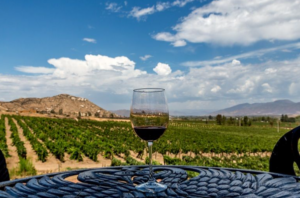 Wine Tour Baja California (wine glass)