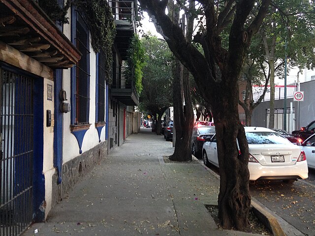 San Miguel Chapultepec Neighbourhood