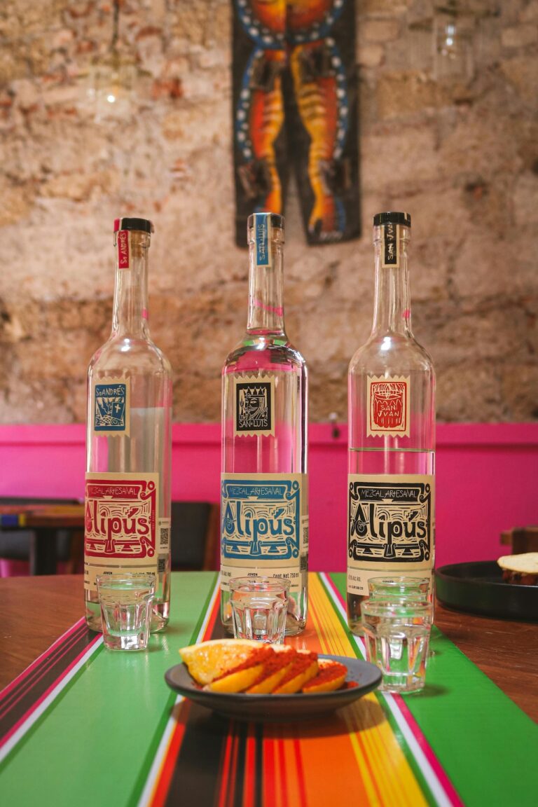 Mezcal Tour Mexico