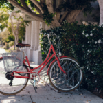 Mexico City Bike Tour