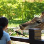 Safari in Mexico