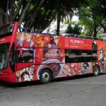 Tours around the city