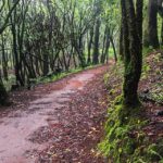 Desierto de los Leones Hike