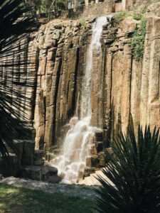 Columns surrounded by vegetation