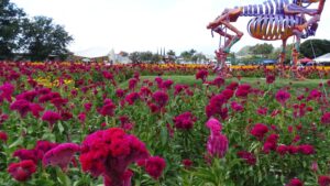 Day of the dead flowers