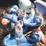 Mushroom Tour