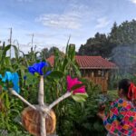 Countryside Tour